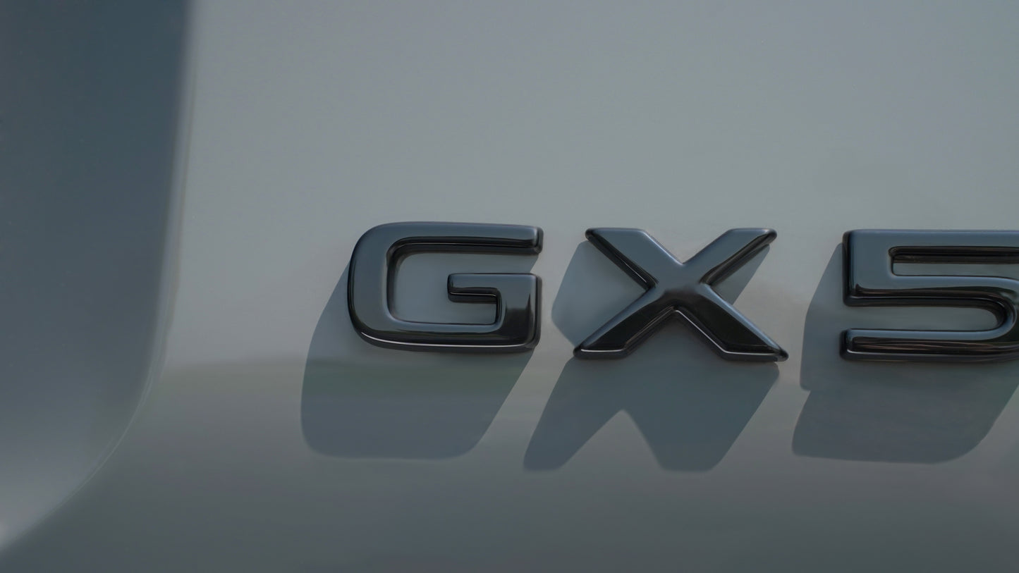 Genuine Lexus | Rear Black Emblem Overlay