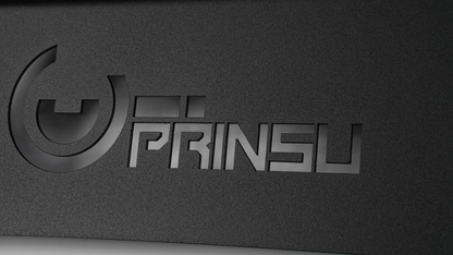 Prinsu | GX550 Ladder