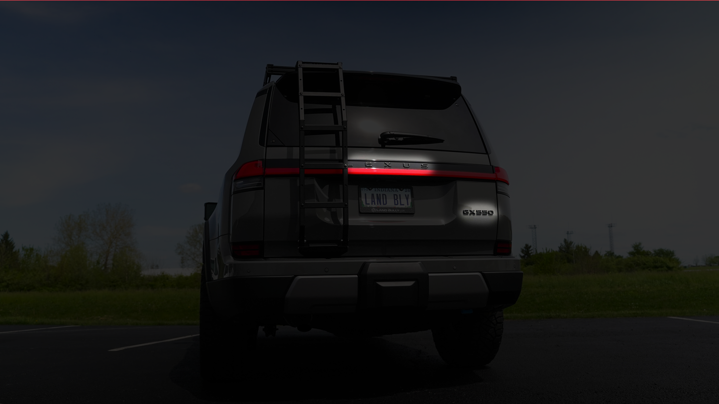 Genuine Lexus | Rear Black Emblem Overlay